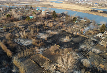 Анализ проб показал наличие нефтепродуктов в воде в дачном поселке Петропавловска