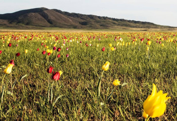 Создан Координационный совет национального парка 