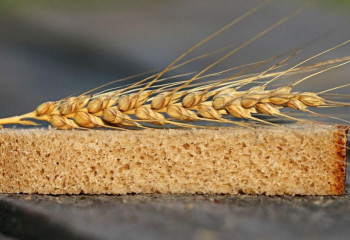 Тағы бір үміт. Астық піскен кезде нан арзандайды екен