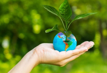 Елімізде «Сұңқар» табиғатты қорғау  акциясы басталды