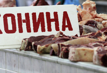 Девять казахстанских компаний смогут экспортировать конину в Японию 