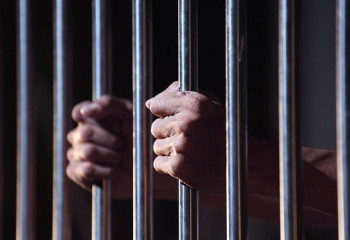 ОПГ нанесла ущерб на 184 миллиона тенге в Акмолинской области