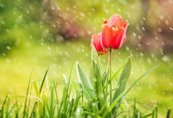 Демалыс күндері ауа райы қандай болады?