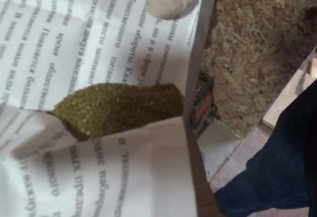 Свыше 400 грамм марихуаны изъяли в Усть-Каменогорске - видео