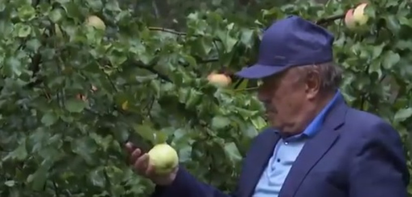  кадр из репортажа "Хабар 24" 