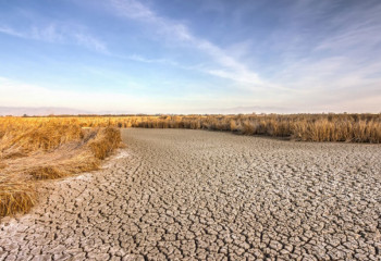 Болжам. Тамыз да құрғақшылықпен өтуі мүмкін