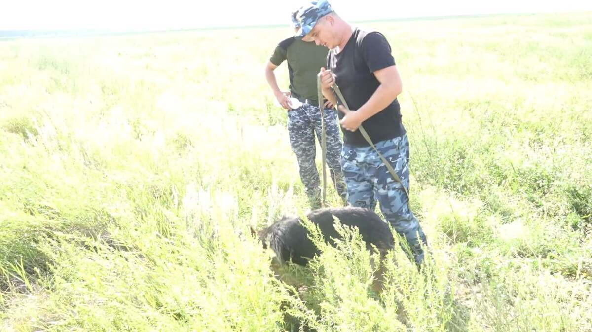  Polisia.kz 