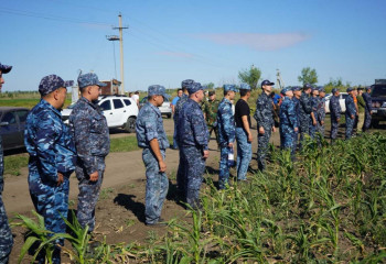 Поиски пятилетней девочки: нашли кукурузный початок со следами зубов