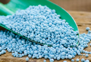 РК импортирует 600 тысяч тонн минеральных удобрений в год