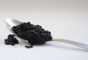 Черную икру на 50 млн тенге пытались вывезти из Казахстана в Россию