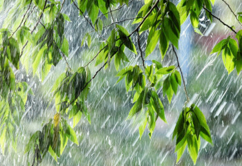 Синоптиктер 10 тамыздағы ауа райын болжады