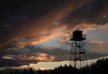 Казахстанские пограничники изъяли более 170 единиц боеприпасов