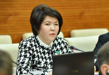 Мәжіліс депутаты: Білім – жазда да білім