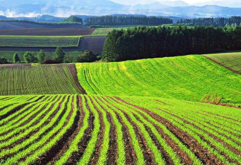 Свыше 1,1 млн га земель возвращено в госсобственность 