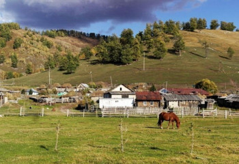 «Ауыл - Ел бесігі» бойынша неше ауылды елді мекендер қамтылды?