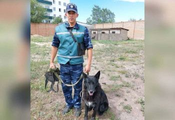 Кинолог спас мальчика от падения из окна в ВКО