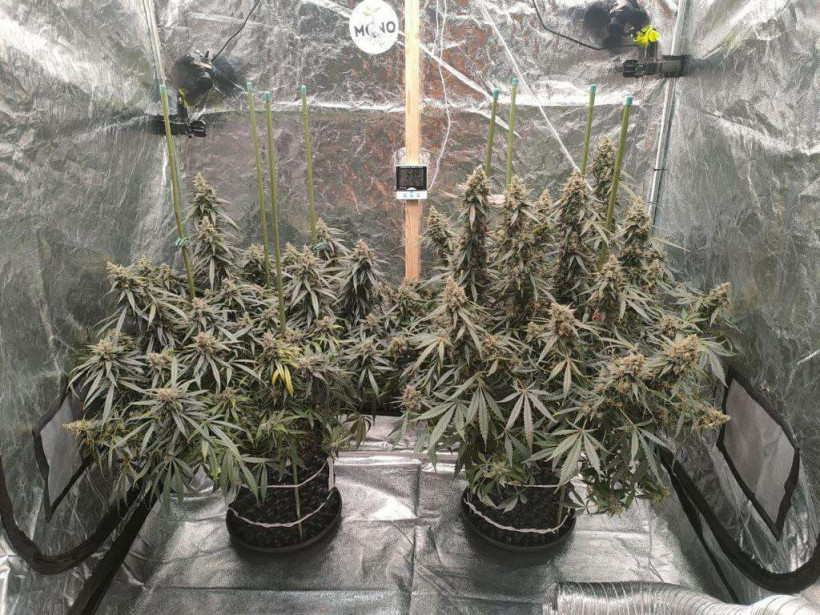  фото: polisia.kz  