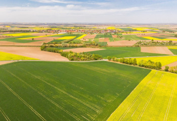 Свыше 1,1 млн га сельхозземель возвращено в собственность государства