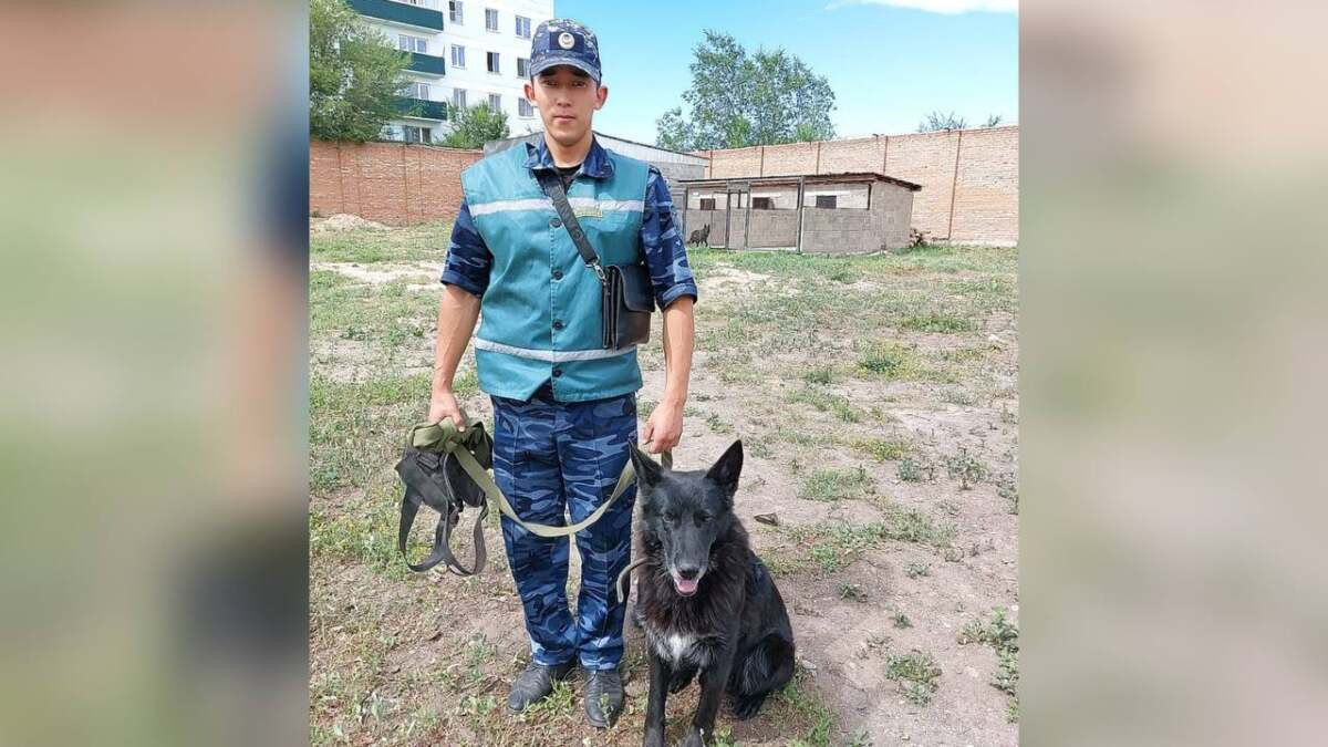  polisia.kz 