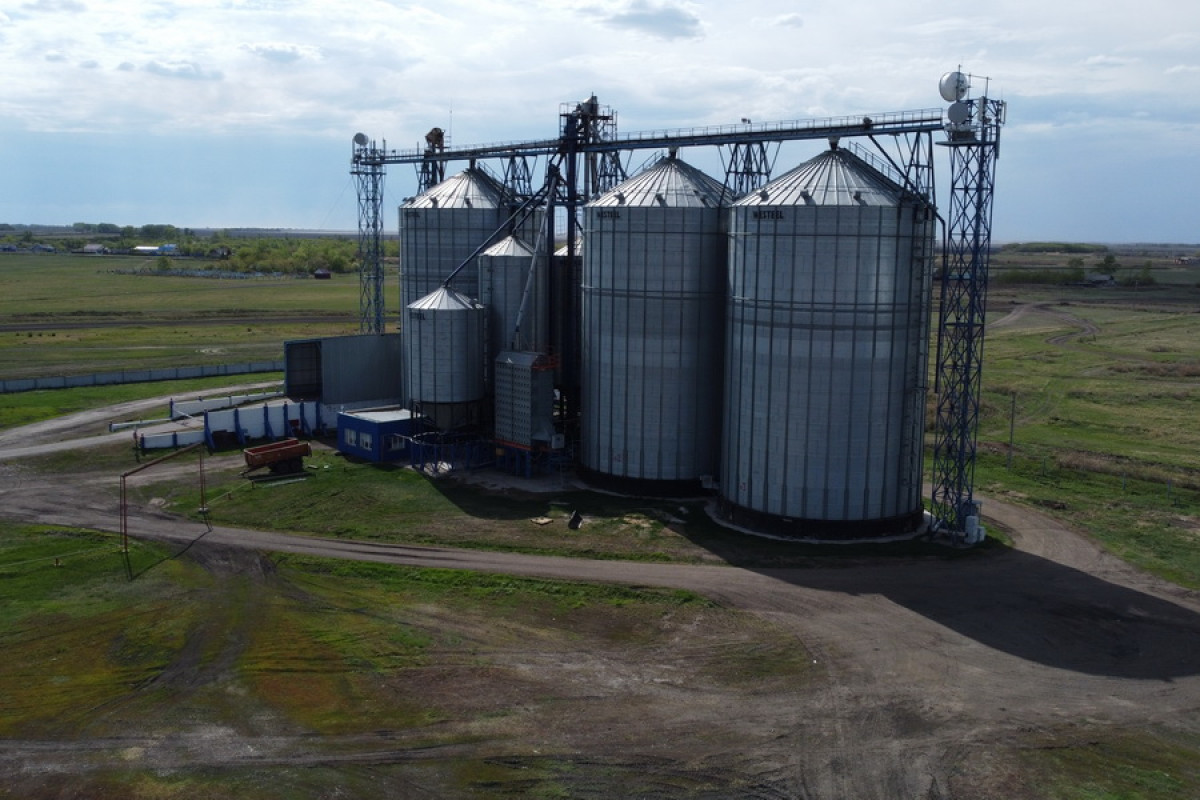 Казахстанский бизнес теряет $400 миллионов в год под давлением контрабанды зерна из России