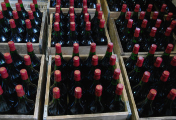 Три подпольных цеха по изготовлению суррогатного алкоголя выявлены в Туркестанской области