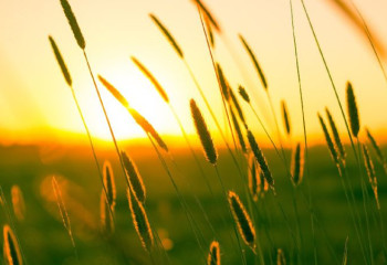 16-18 тамызға арналған ауа райы болжамы