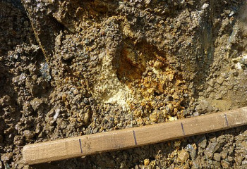 Незаконная добыча кварцевой руды нанесла ущерб государству в 280 миллионов тенге