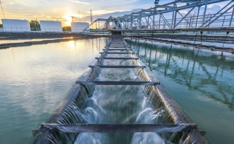  фото: ecoportal.info 