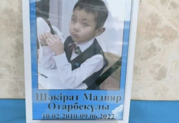 В гибели мальчика из Актобе, которого загрызли собаки, не нашли состава преступления