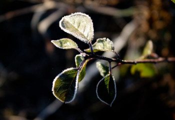 Ауа райына байланысты синоптиктер ескерту жасады