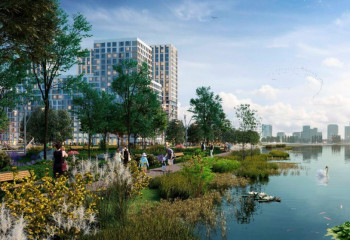 Кіші Талдыкөлге ағаш отырғызылады