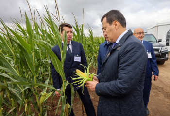 Әлихан Смайылов жұмыс сапарымен Павлодар облысына барды