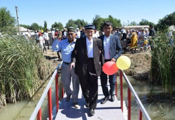 84 жастағы зейнеткер ауылына көпір салып берді