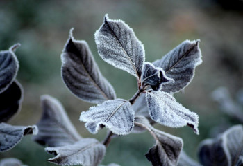 20 тамызға арналған ауа райы болжамы