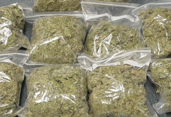 Полиция изъяла у пенсионеров марихуаны почти на 60 килограммов