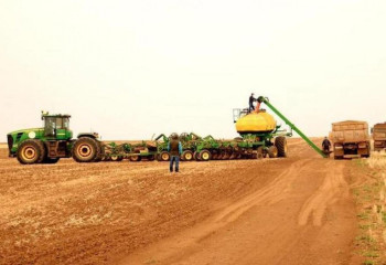 Массовую уборку урожая в Карагандинской области планируется начать 1 сентября