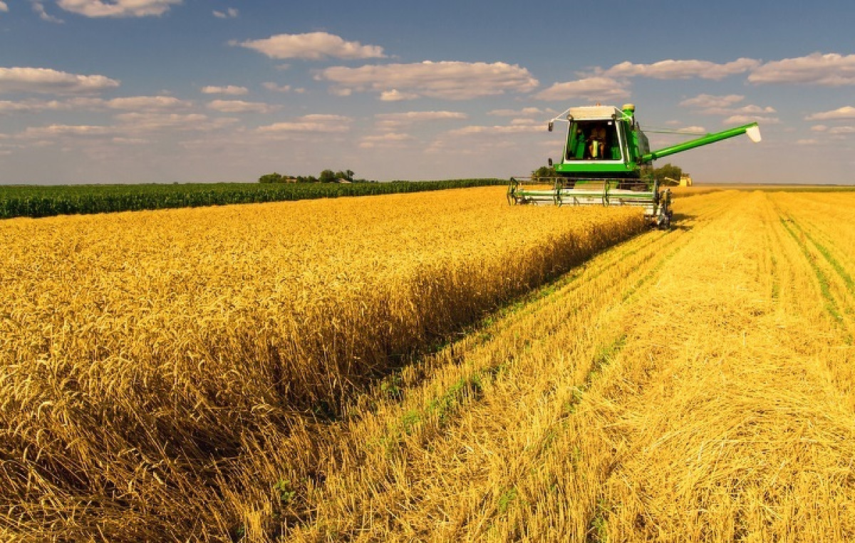 Общая емкость хранения зерна в республике составляет 29,1 млн тонн - МСХ РК