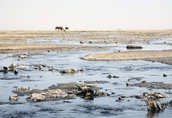 Рекультивация хвостохранилища 