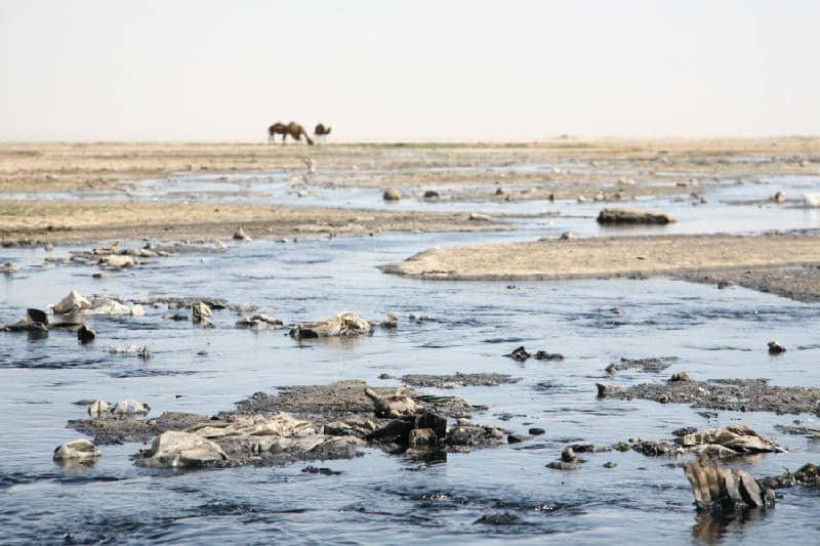  Фото предоставили в ЦОК Мангистауской области 