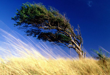 23 тамызға арналған ауа райы болжамы