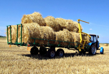 Жем-шөппен қамтамасыз ету мәселесі қалай шешіліп жатыр?