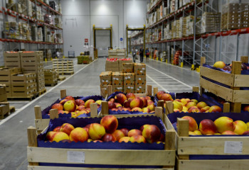 Минторговли и интеграции отказалось от идеи строительства 24 ОРЦ 