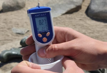 Замор рыбы в Бурабае не связан с воздействием человека – заключение специалистов