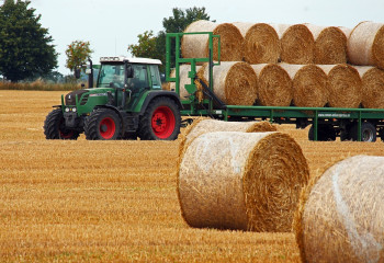Задержку в работах по заготовке кормов пояснили в Атырау