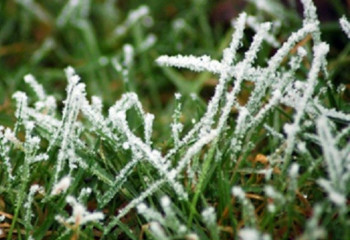 Сәрсенбіге арналған ауа райы болжамы