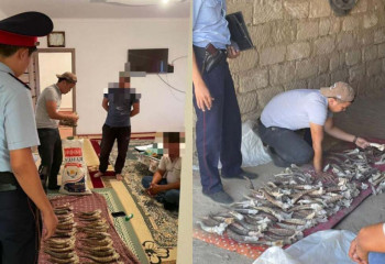 Маңғыстаулық тұрғыннан киік мүйіздері тәркіленді 