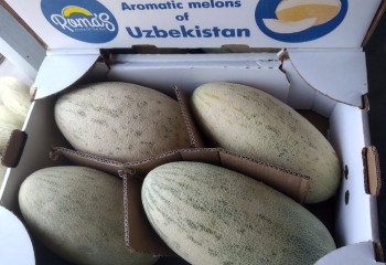 Өзбекстаннан 62 тонна қауынды заңсыз өткізбек болғандар ұсталды