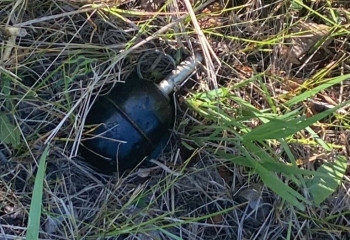 Гранату обнаружили в парке Петропавловска 