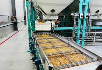 Елордада азық-түлік белдеуін құруға 625 млрд теңге бөлінеді