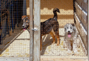 В отношении 